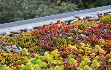 the cost of Dufton green roof installation